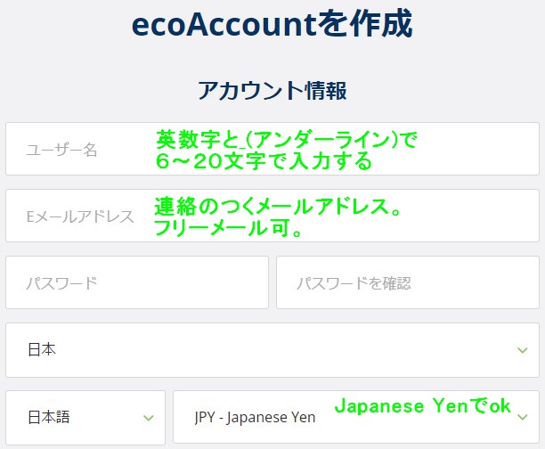 ecoPayzアカウント情報入力画面